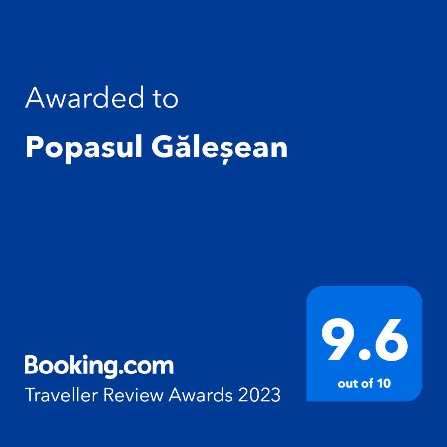 Popasul Galesean Hotel Galeşu Kültér fotó